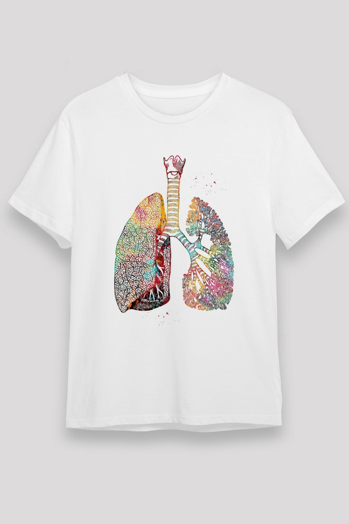 T19911_0.jpg